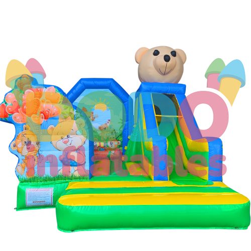 Bouncy Castle Bear with Slide6