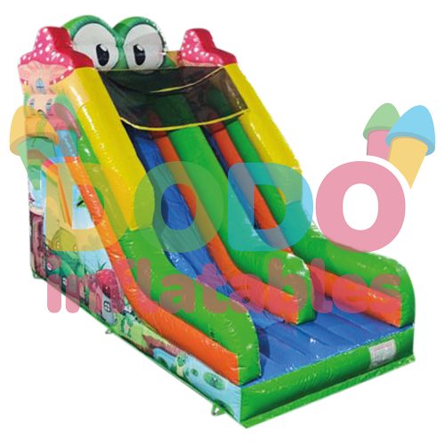 Frog-Slide--bouncy-castle-buy-044